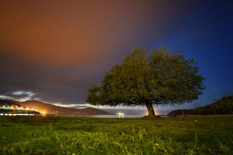 Sevim Apart - Marmara Adası Apart